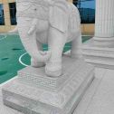 伊春 白麻花岗岩动物异形石雕-大象