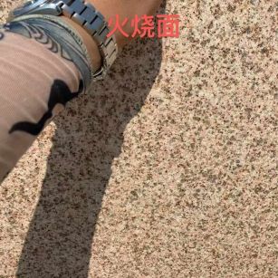 伊春黄金麻火烧面